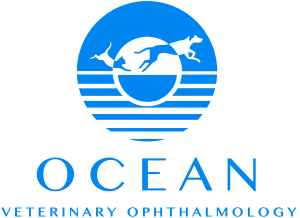 Ocean Veterinary Ophthalmology
