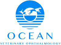 Ocean Veterinary Ophthalmology